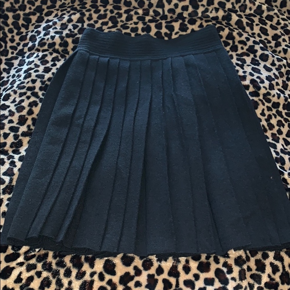 Express Pleated Skirt Small